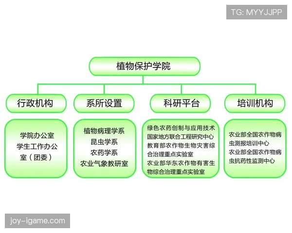 赖斯心理素质研究揭示如何提升职场抗压能力与应对策略